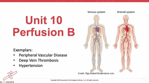 Thumbnail for Unit 10 Recorded Lecture Part 1 Hypertension