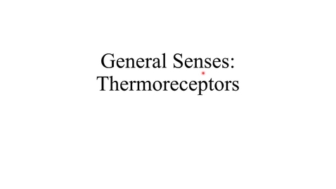 Thumbnail for entry General Senses (thermosensation) movie