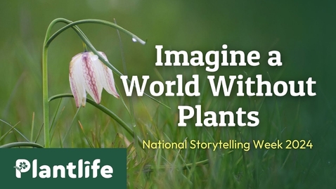 Thumbnail for Imagine a World Without Plants - A Poem by Meg Griffiths