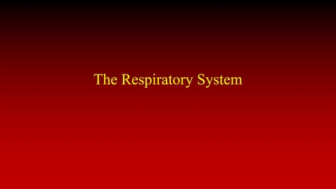 Thumbnail for entry Respiratory System (lecture)