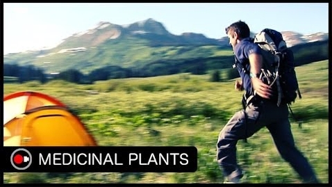 Thumbnail for An Intro to Medicinal Plants