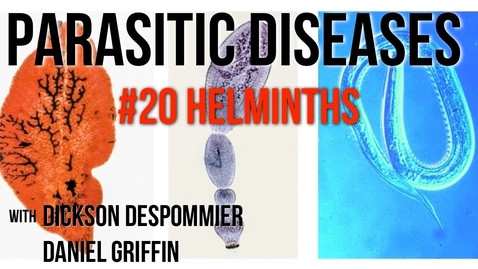 Thumbnail for entry Parasitic Diseases Lectures #20: Helminths - Quiz