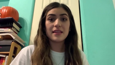 Thumbnail for SPAN 3060 Foro de debate 3