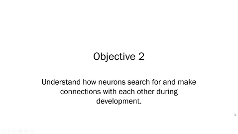 Thumbnail for NEURO2050 Ch. 23 Obj. 2 - November 20th 2020, 5:32:38 pm