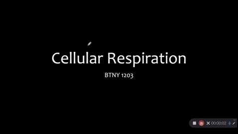 Thumbnail for 12-Cellular Respiration