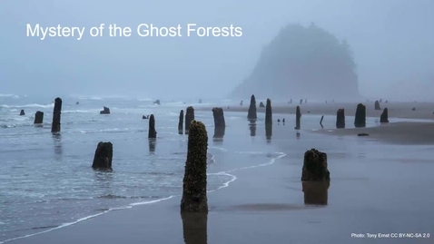 Thumbnail for GEO 1030 - Ghost Forest Mystery Activity - Interactive