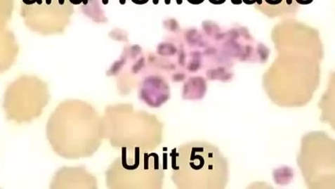 Thumbnail for Unit_5__Lecture_1