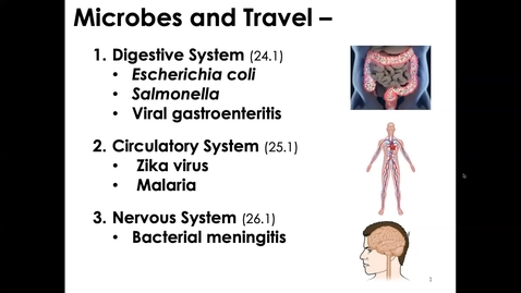 Thumbnail for MICR1153_11-24_DigestiveTract_Twing