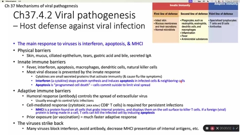 Thumbnail for Viruses Part 2