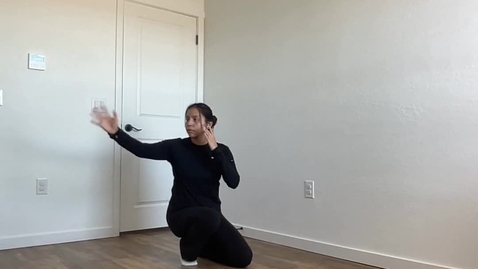 Thumbnail for Movie on 2-21-26 at 12.18 PM