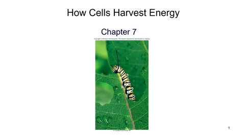 Thumbnail for Ch. 7 Intro - October 5th 2020, 9:10:50 pm