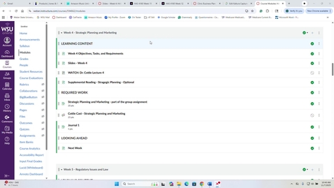 Thumbnail for HAS 4160 - Dr. Cottle Lecture 4