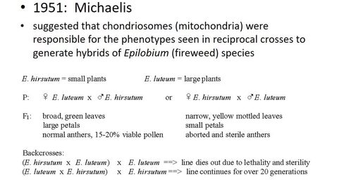 Thumbnail for BTNY 3303 - Endosymbionts, Symbionts, and Phenotype - Part 2 - April 1, 2022