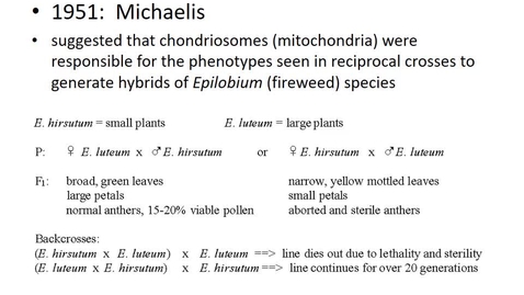 Thumbnail for entry BTNY 3303 - Endosymbionts, Symbionts, and Phenotype - Part 2 - April 1, 2022