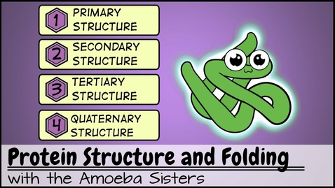 Thumbnail for HTHS 1110 F03-03: Protein Structure Video with Questions