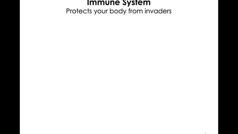 Thumbnail for MICR1153_10-20_InnateImmuneSystem_Twing