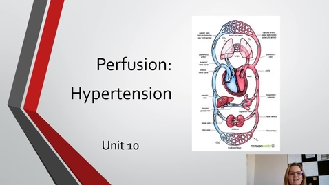 Thumbnail for Unit 10 HTN PPT