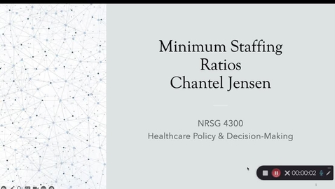 Thumbnail for Nursing Staffing Ratios