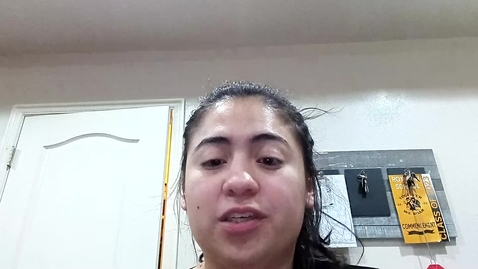 Thumbnail for Video Recording - Sun Jan 25 2026 19:40:22 GMT-0700 (Mountain Standard Time)