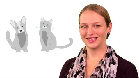 Thumbnail for CS6200, Module 8: Introduction to Deep Learning: Machine Learning vs. Deep Learning
