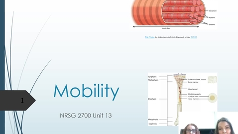 Thumbnail for NRSG 2700 Unit 13 Video Lecture