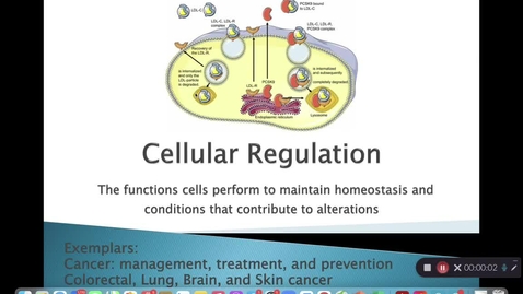 Thumbnail for Unit 11 RECORDED LECTURE Cellular Regulation-1