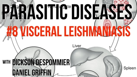 Thumbnail for entry Parasitic Diseases Lectures #8: Visceral Leishmaniasis - Quiz