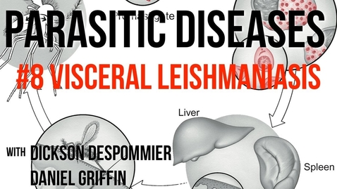 Thumbnail for Parasitic Diseases Lectures #8: Visceral Leishmaniasis - Quiz