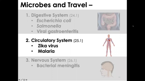 Thumbnail for entry MICR1153_11-24_CirculatorySystem_Twing