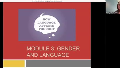 Thumbnail for Language lecture (verbal communication)