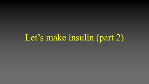 Thumbnail for Lets make insulin (2) lecture