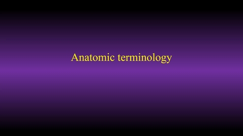 Thumbnail for Anatomic terminology (hybrid, with laser)