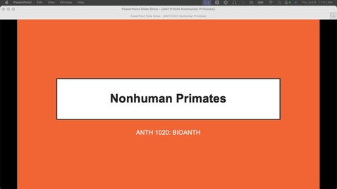 Thumbnail for ANTH1020 Nonhuman Primates