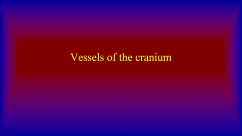 Thumbnail for entry Vessels of the cranium