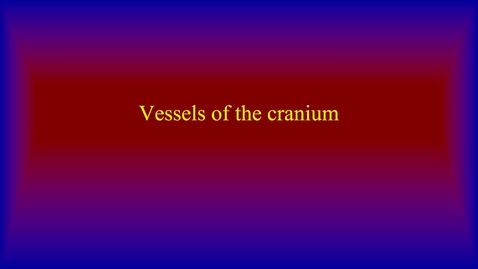 Thumbnail for Vessels of the cranium
