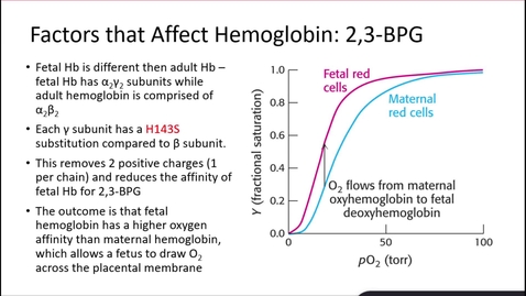 Thumbnail for Kaltura Capture recording - January 31st 2026, 12:11:40 pm