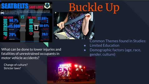 Thumbnail for Seatbelts
