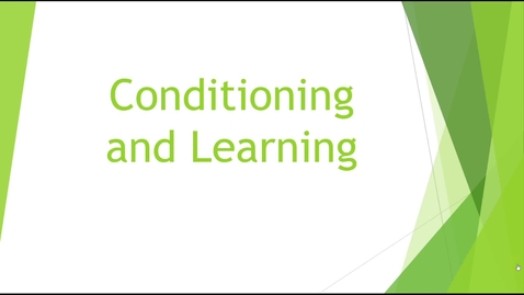 Thumbnail for Conditioning &amp; Learning Part 1 - Quiz