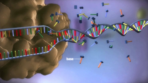 Thumbnail for From DNA to protein - 3D