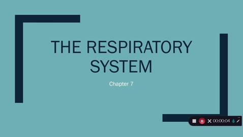 Thumbnail for entry Respiratory System - Ventilation Lecture Video