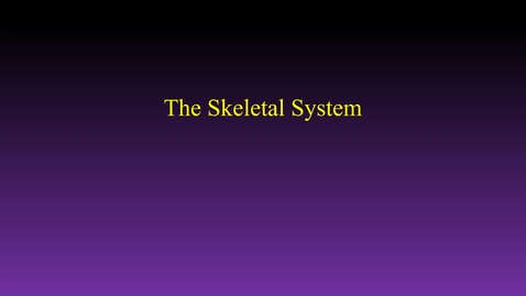 Thumbnail for entry Skeletal system (hybrid)