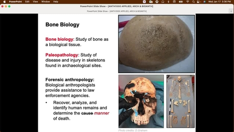 Thumbnail for entry Applied Anth; Archaeology and BioAnth Lecture - Part 2