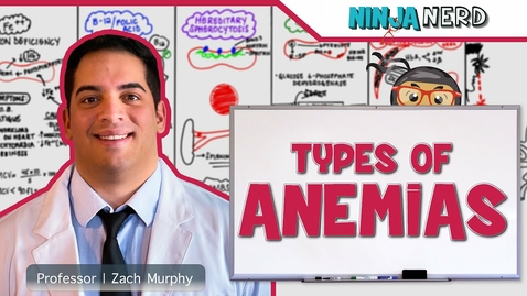 Thumbnail for Hematology: Types of Anemias Video with Questions