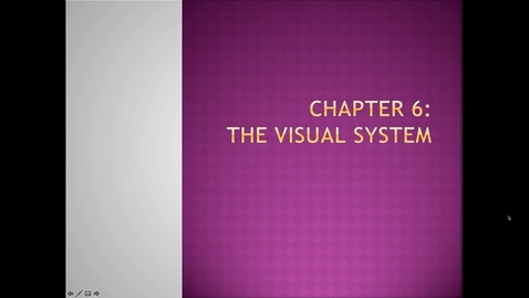 Thumbnail for PSY 2710: Ch. 6 - Lesson 2
