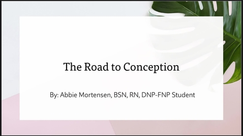 Thumbnail for The Road to Conception Presentation