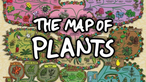 Thumbnail for The Surprising Map of Plants