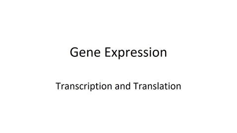 Thumbnail for entry BTNY3303-GeneExpression_Part 1- March 16, 2022