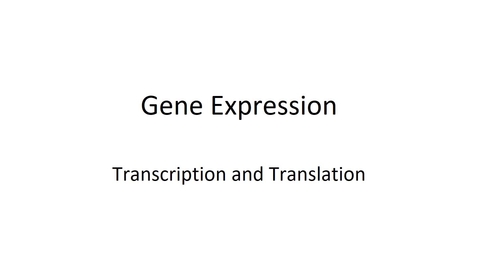 Thumbnail for BTNY3303-GeneExpression_Part 1- March 16, 2022
