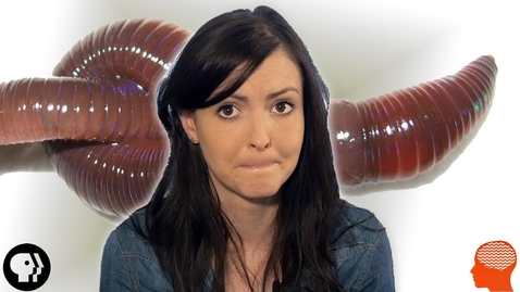 Thumbnail for Why Do We Find Things Disgusting? | BrainCraft Q&amp;A! - Quiz