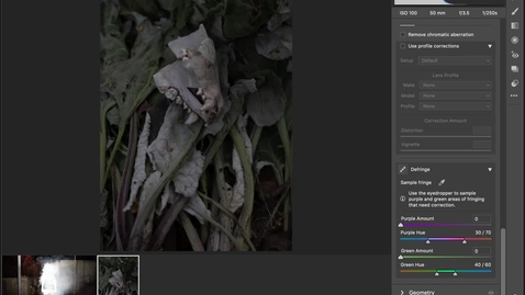 Thumbnail for Adobe Camera Raw Demo